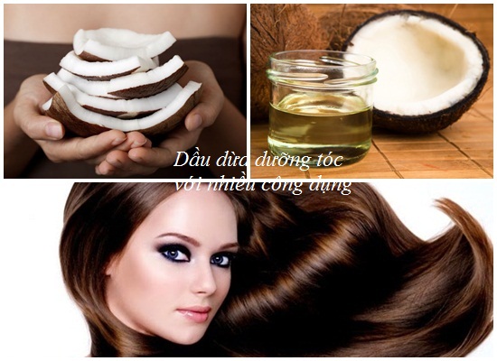 Dầu oliu hay dầu dừa tốt cho tóc hơn? Loại nào dưỡng đẹp hơn hình 2